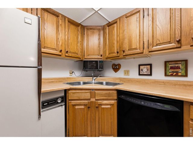 620 Macgregor Ave 3, Estes Park, CO 80517
