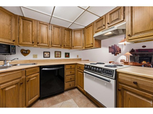 620 Macgregor Ave 3, Estes Park, CO 80517