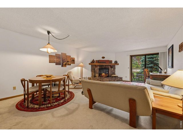 620 Macgregor Ave 3, Estes Park, CO 80517