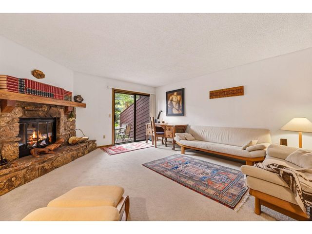 620 Macgregor Ave 3, Estes Park, CO 80517