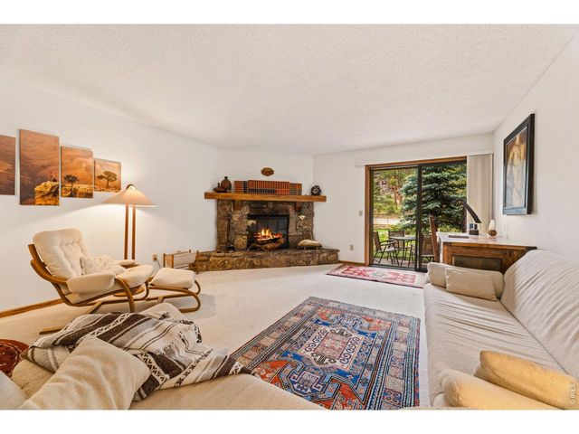 620 Macgregor Ave 3, Estes Park, CO 80517