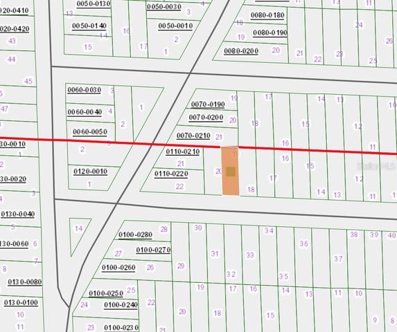 336 PORTLAND STREET, Hawthorne, FL 32640