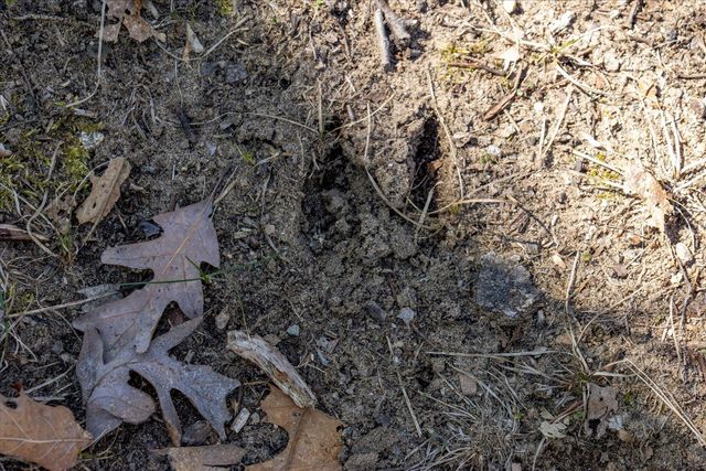 14714 Myers Lake Avenue, Cedar Springs, MI 49319