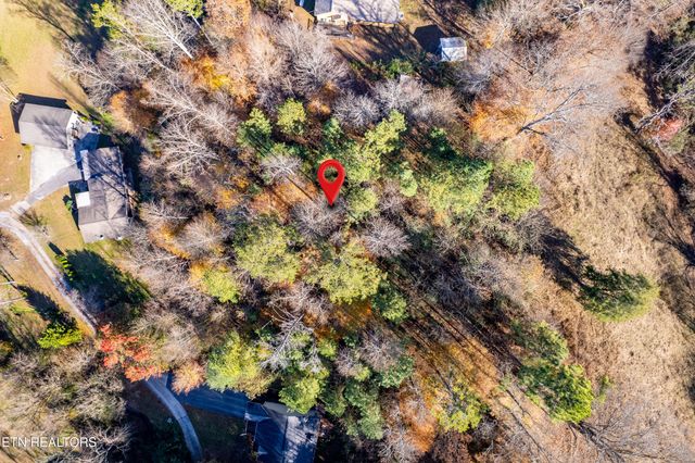 W Millers Cove Rd, Walland, TN 37886