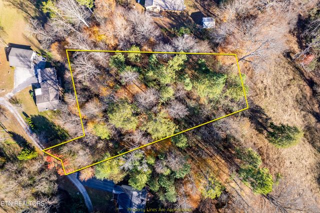 W Millers Cove Rd, Walland, TN 37886