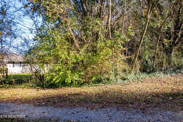 W Millers Cove Rd, Walland, TN 37886