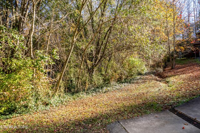 W Millers Cove Rd, Walland, TN 37886