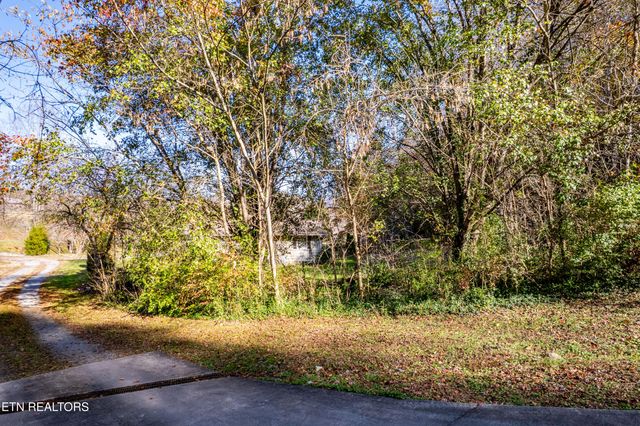 W Millers Cove Rd, Walland, TN 37886