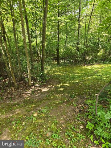 12319 CREEK RD, Shade Gap, PA 17255