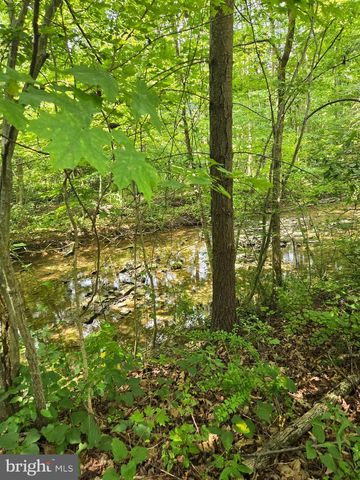 12319 CREEK RD, Shade Gap, PA 17255