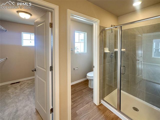 10958 Jolie Court, Falcon, CO 80831