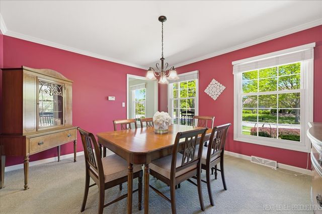 1431 Terrance Drive, Naperville, IL 60565