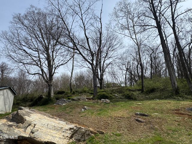 1013 Siam Road, Elizabethton, TN 37643