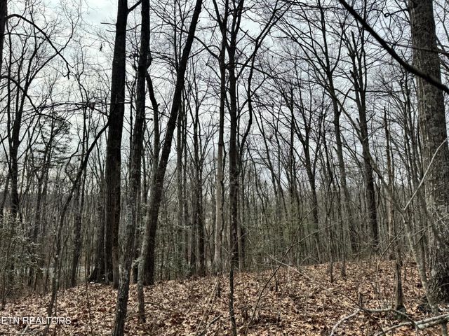41 Smith Mountain Rd, Rockwood, TN 37854