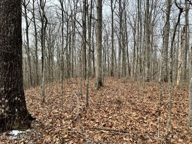 41 Smith Mountain Rd, Rockwood, TN 37854