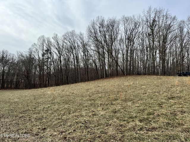 41 Smith Mountain Rd, Rockwood, TN 37854