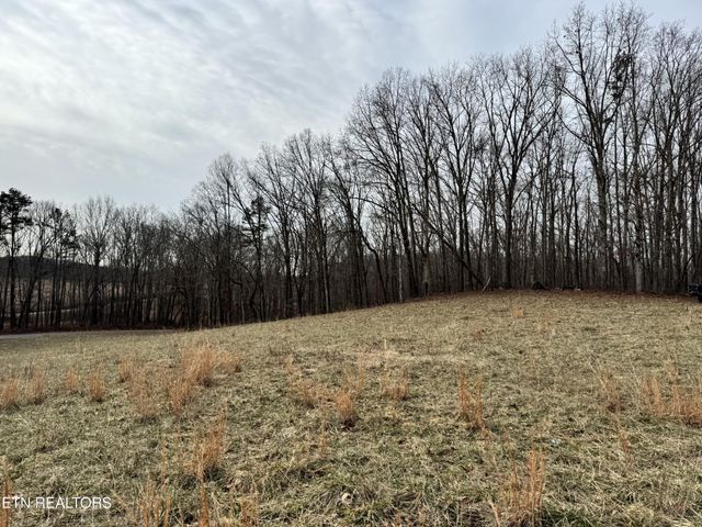 41 Smith Mountain Rd, Rockwood, TN 37854