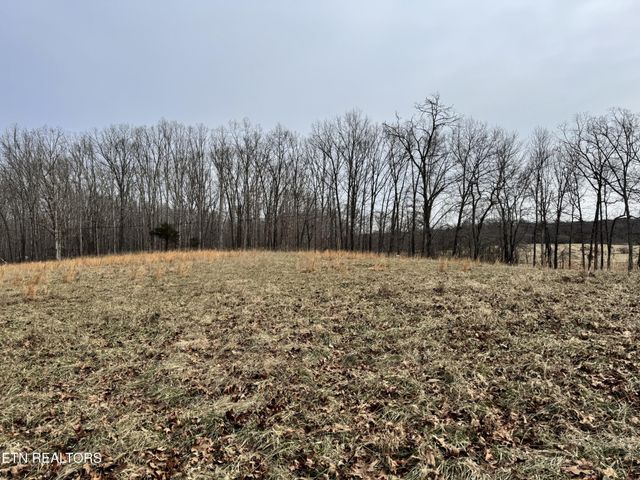 41 Smith Mountain Rd, Rockwood, TN 37854