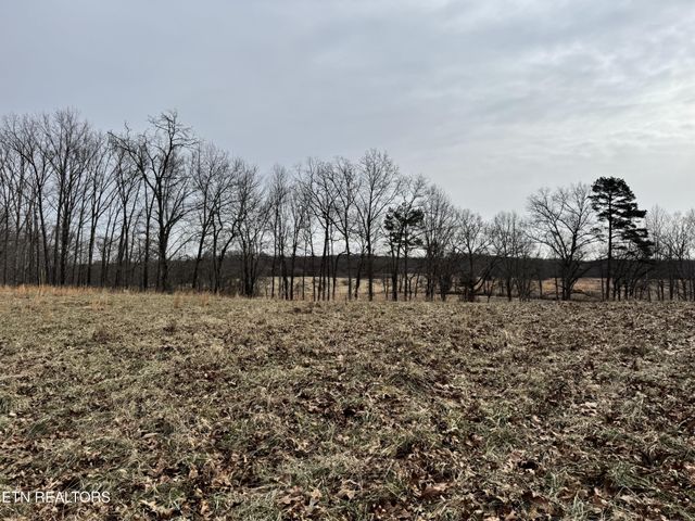41 Smith Mountain Rd, Rockwood, TN 37854
