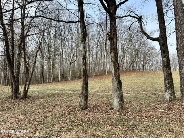 41 Smith Mountain Rd, Rockwood, TN 37854