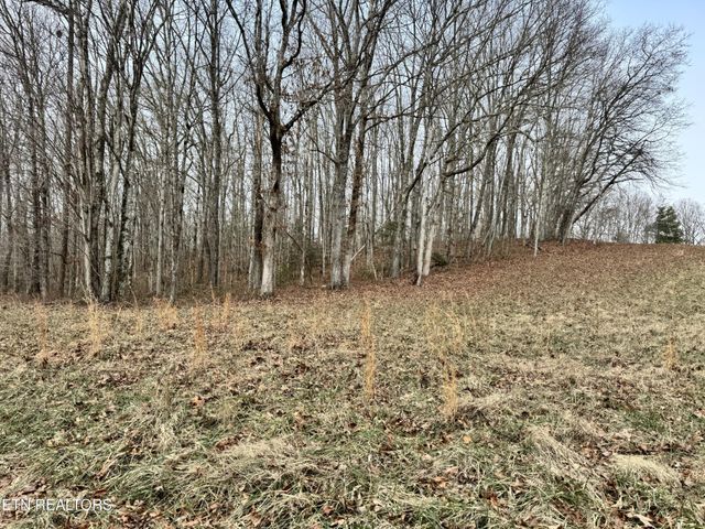 41 Smith Mountain Rd, Rockwood, TN 37854