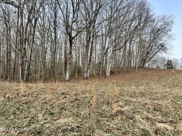 41 Smith Mountain Rd, Rockwood, TN 37854