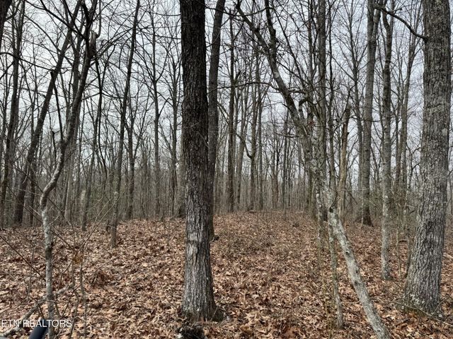 41 Smith Mountain Rd, Rockwood, TN 37854
