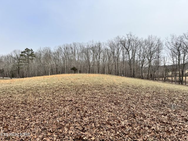 41 Smith Mountain Rd, Rockwood, TN 37854