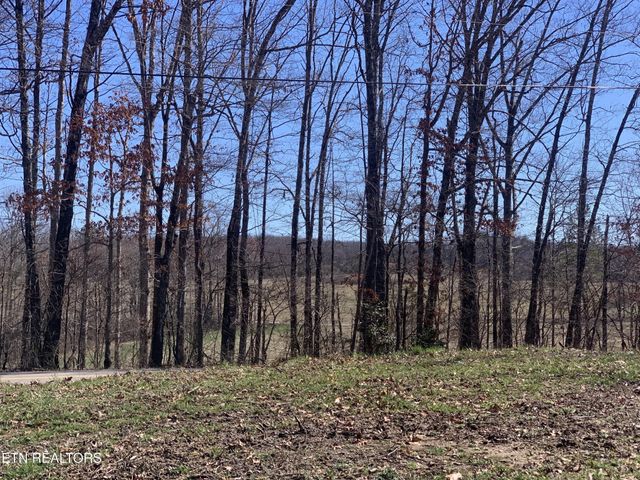 41 Smith Mountain Rd, Rockwood, TN 37854
