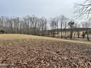 41 Smith Mountain Rd, Rockwood, TN 37854