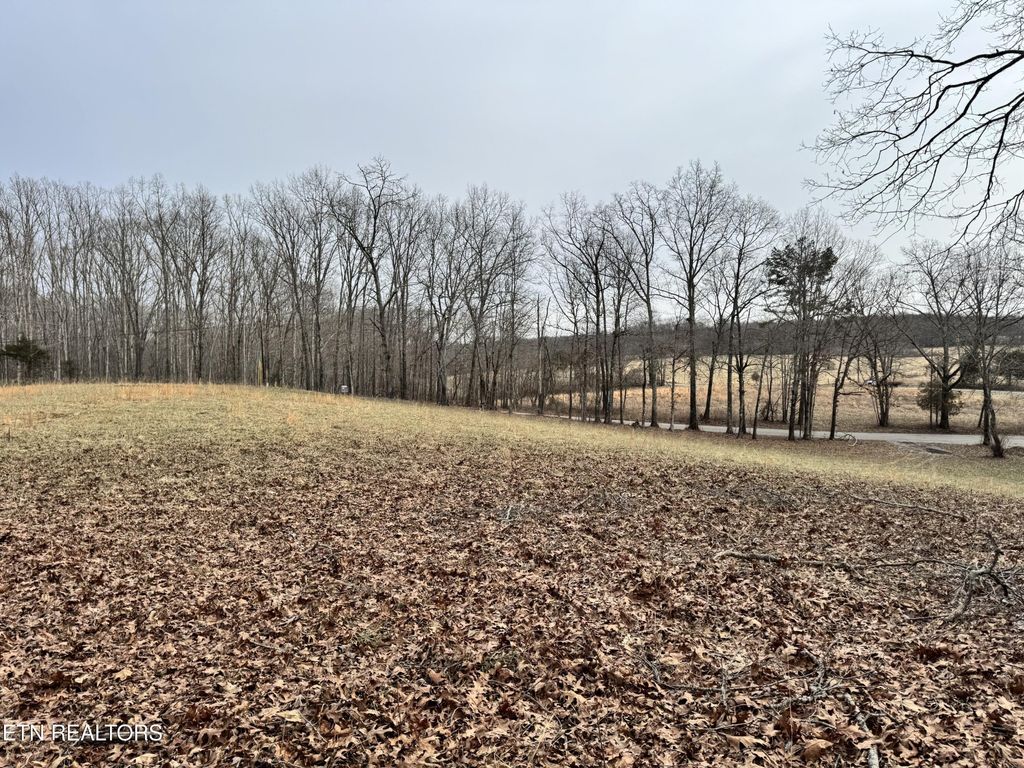 41 Smith Mountain Rd, Rockwood, TN 37854