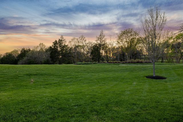 7066 Lanceleaf Dr, College Grove, TN 37046