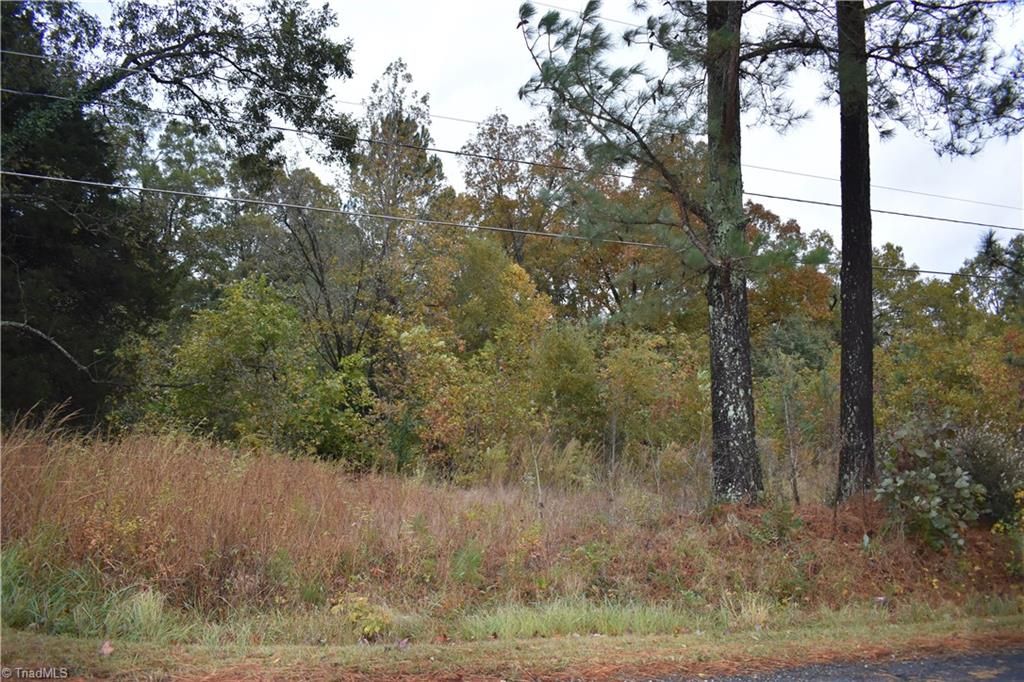 Lot 29 Darr Road, Trinity, NC 27370