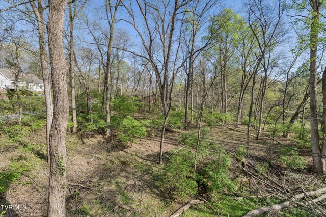 1823 Woodhaven Drive, Elizabethton, TN 37643