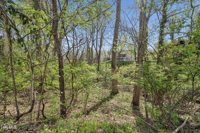 1823 Woodhaven Drive, Elizabethton, TN 37643