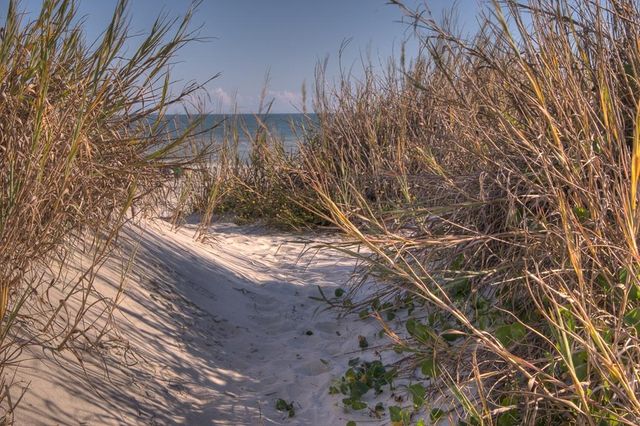 4561 Gray Heron Dr., North Myrtle Beach, SC 29582