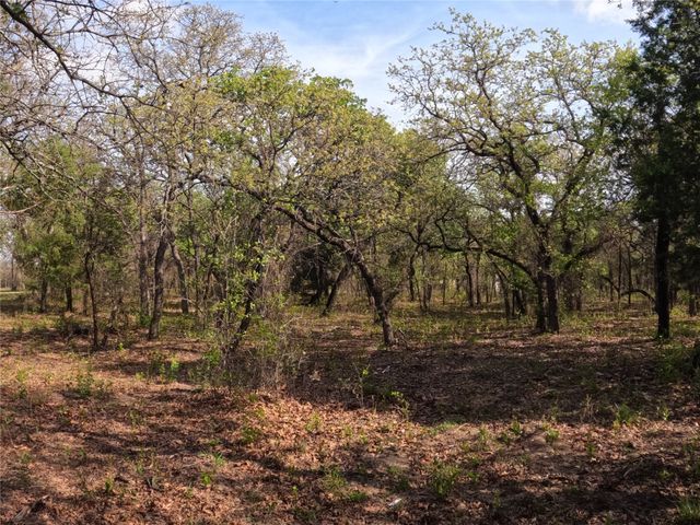 2113 Jeremy Street, Tolar, TX 76476