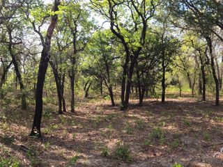 2113 Jeremy Street, Tolar, TX 76476