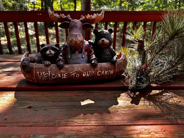 264 Oak Ridge Road, Branson, MO 65616