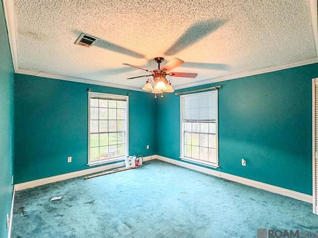 1024 Hatchell Ln, Denham Springs, LA 70726