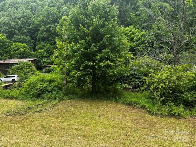 731 Pigeon Roost Road, Green Mountain, NC 28740
