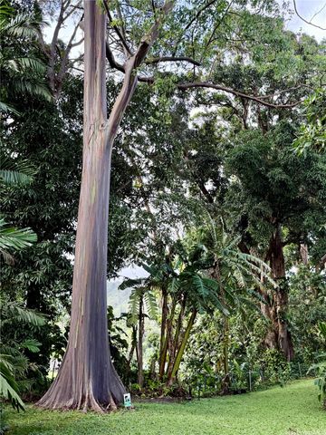 46-369 Haiku Road D3, Kaneohe, HI 96744