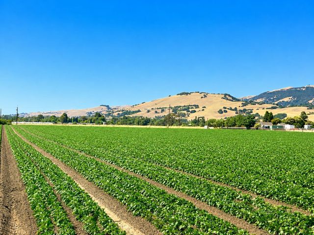 7340 Crews Road, Gilroy, CA 95020