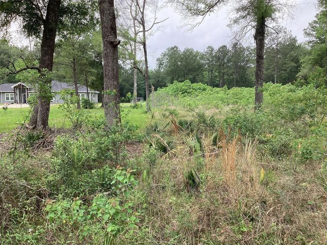 00 Birch Place, New Caney, TX 77357