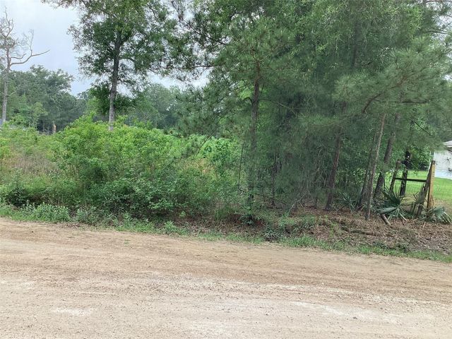 00 Birch Place, New Caney, TX 77357