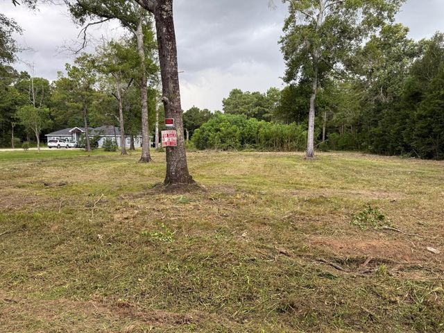 00 Birch Place, New Caney, TX 77357