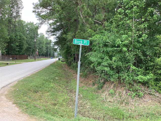 00 Birch Place, New Caney, TX 77357