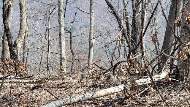 000 Joslin Lane, Burnsville, NC 28714