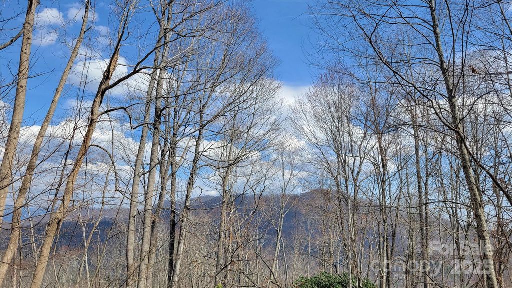 000 Joslin Lane, Burnsville, NC 28714