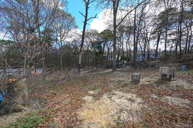 45 Roosevelt Avenue, Selden, NY 11784